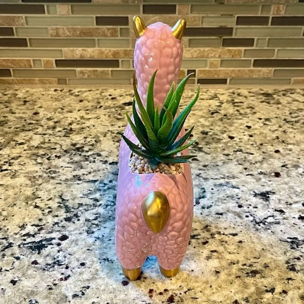 Pink Llama Succulent Ceramic Flower Pot New